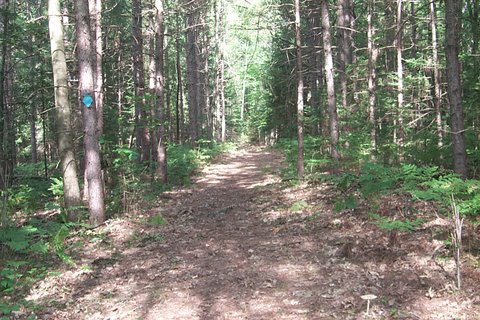 reid_lake_3_1.jpg