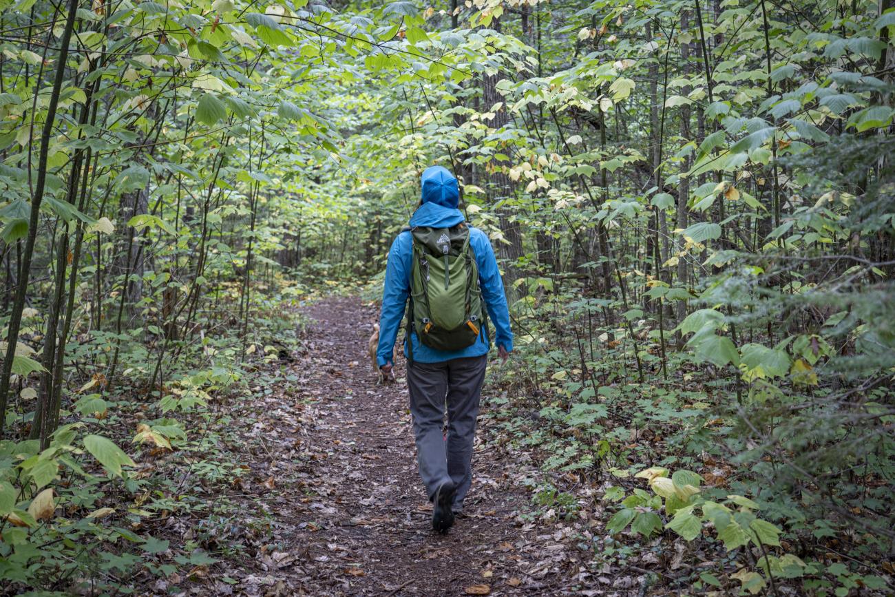 rockport-state-park-trail-1.jpg