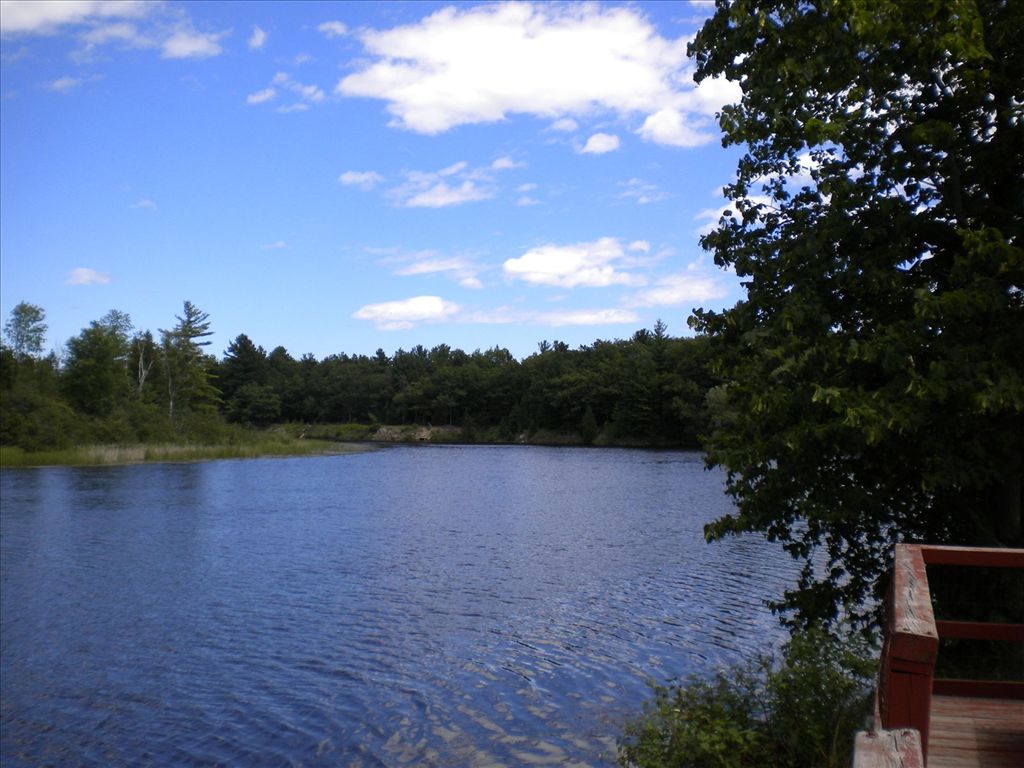 sytek_park_river.jpg