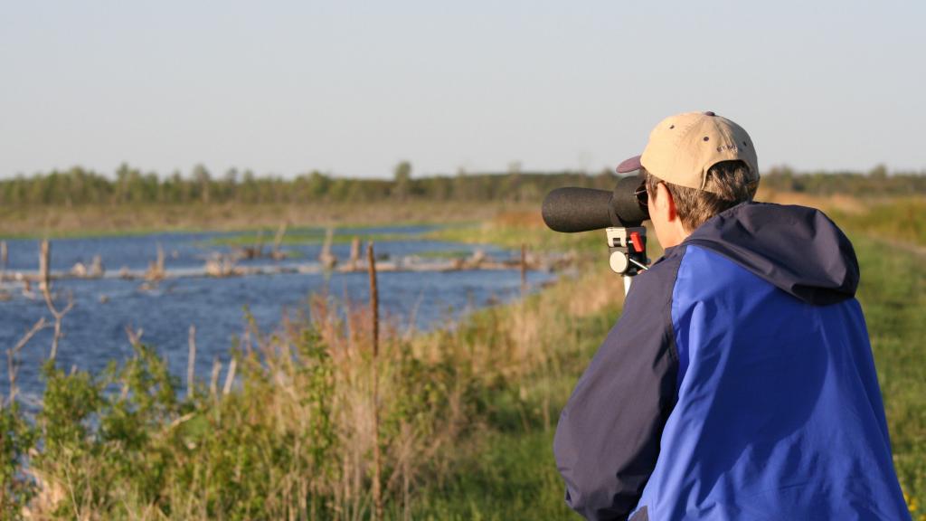 Tawas Birding Festival - Tuttle Marsh