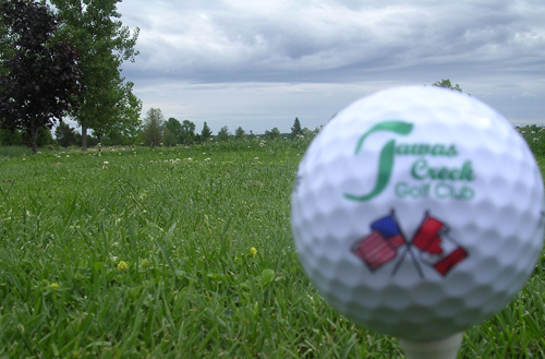 tawas_creek_golf.jpg