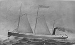 The bulk freighter D.M. Wilson in 1873.