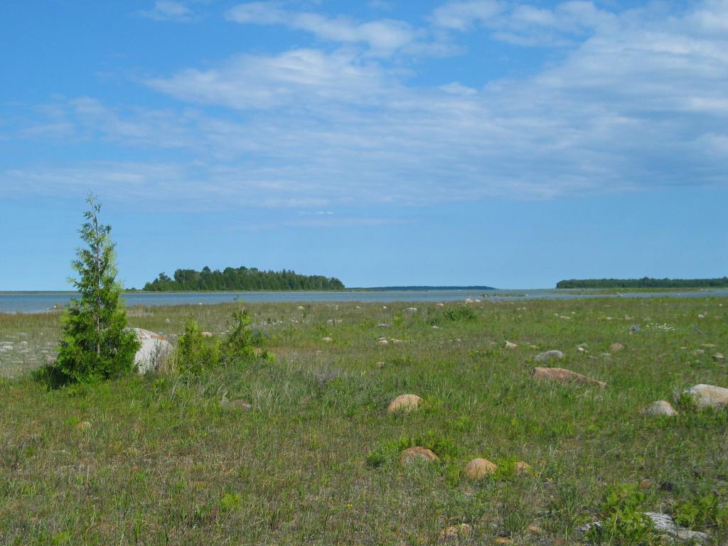 Misery Bay