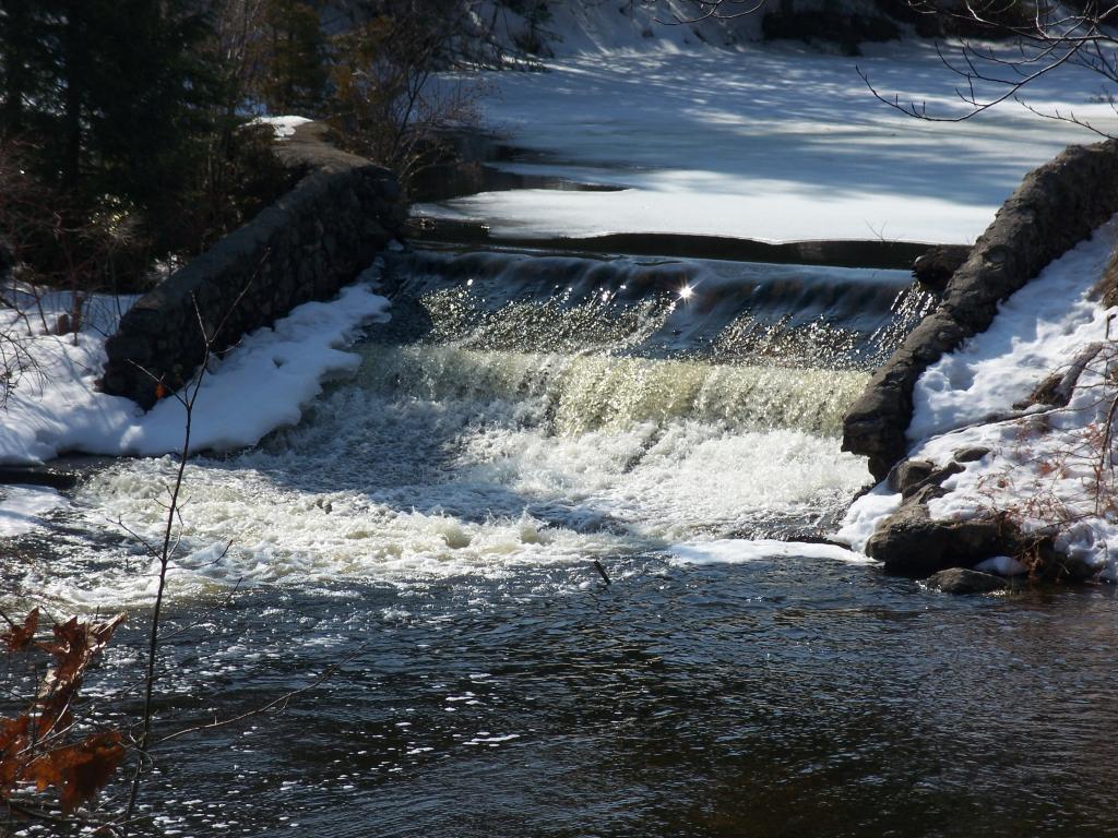 Trout River