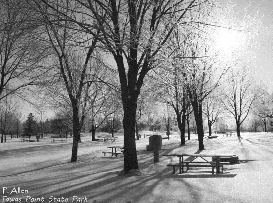 Tawas Point in Winter