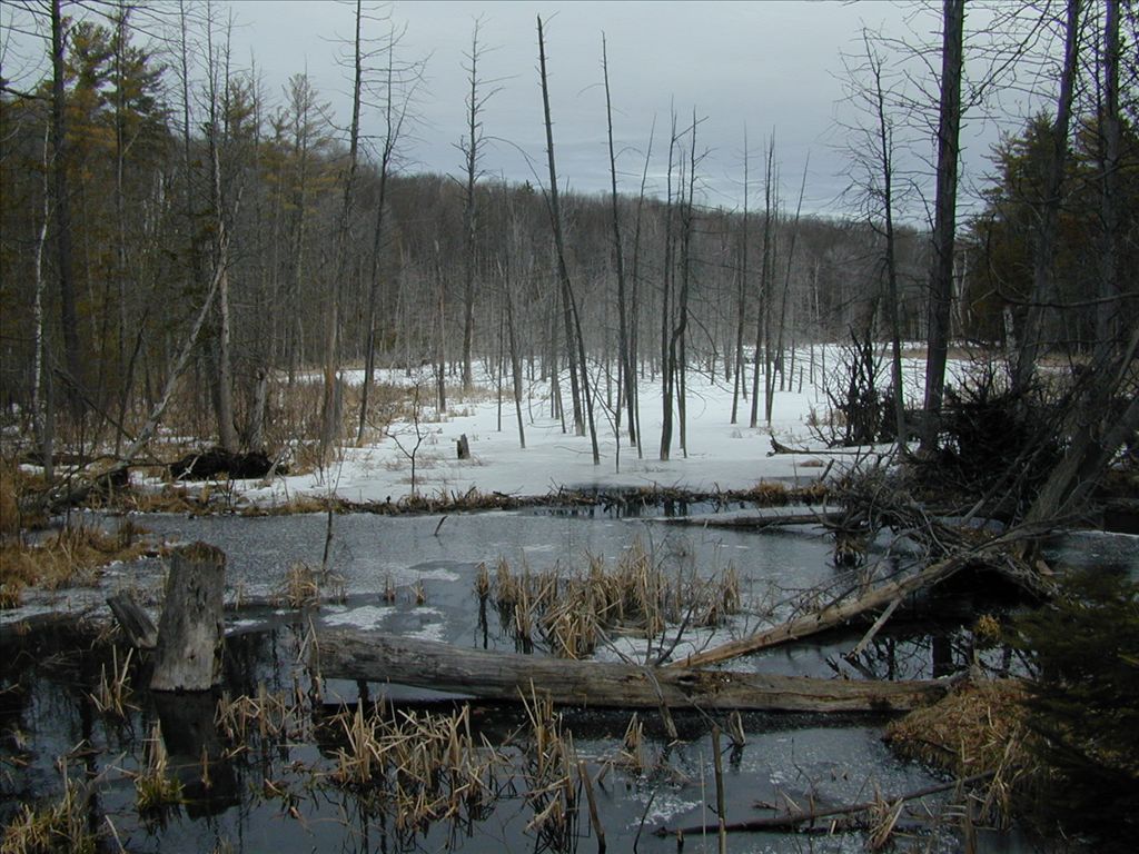 Reid Lake