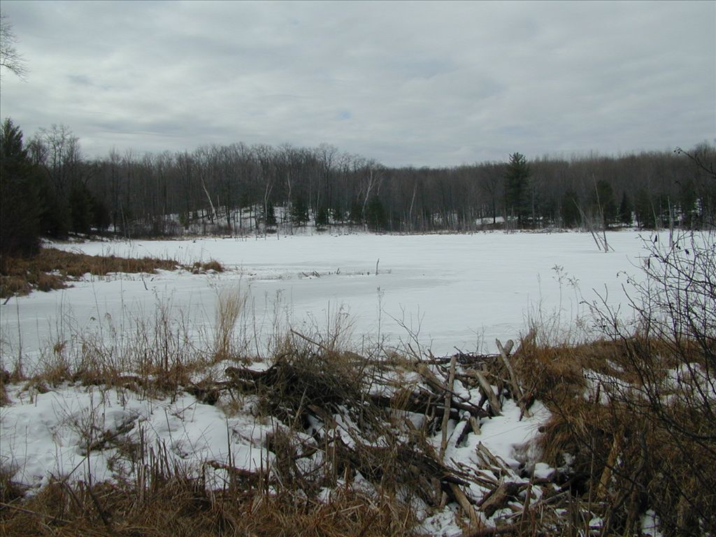 Reid Lake