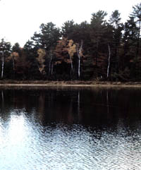 Besser Natural Area