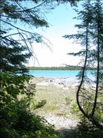 Besser Natural Area Beach