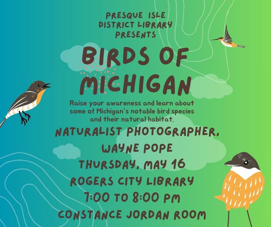How Many Different Birds Use the Michigan Coastal Habitat: Discover Now!