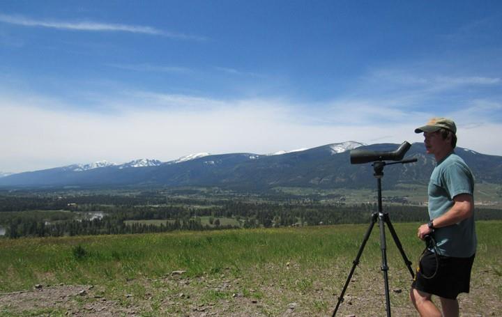 Andrew as a hawk researcher for the Raptor View Research Institute in Florence, Montana.