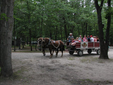 wilderness_resort.jpg